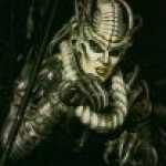 thumb_1340 (Medium).jpg